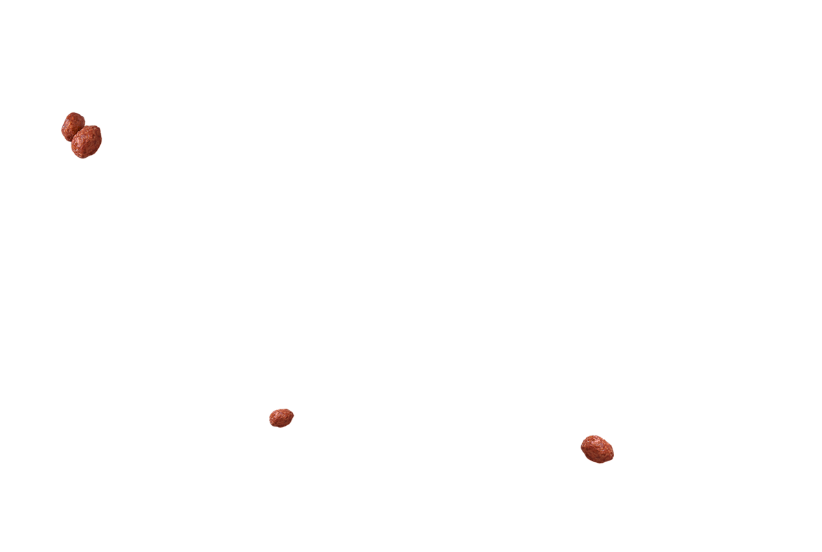 Bolitas de chocolate