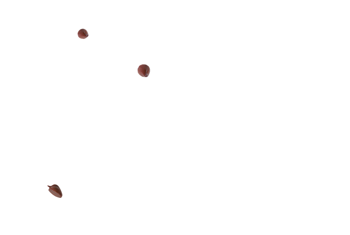 Bolitas de chocolate